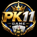 pk11 logo